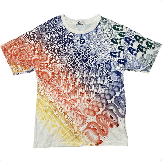Hysteric Glamour Snake Rainbow Print